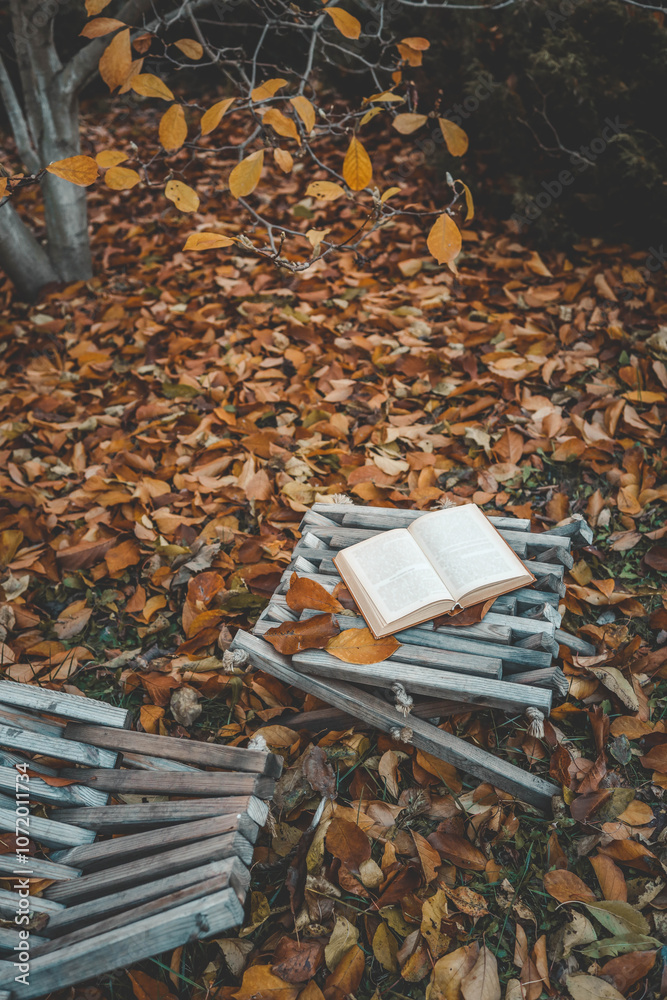Obraz premium Open book resting on a rustic wooden chair surrounded by golden autumn leaves, creating a cozy seasonal atmosphere of reading and relaxation in nature