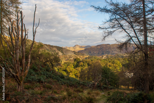 Holmes Fell, Lake District photo