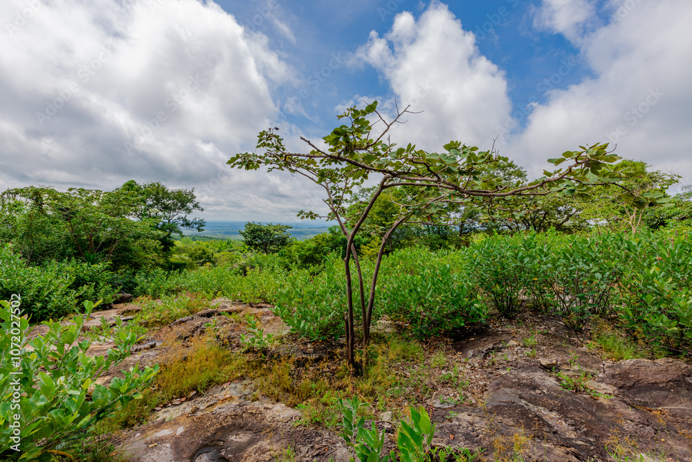Panoramic nature background from a viewpoint on a high mountain overlooking the scenery below, river, road, rocks, trees, the beauty of nature during a trip in Khon Kaen, Thailand. Panoramic nature background from a viewpoint on a high mountain overlooking the scenery below, river, road, rocks, trees, the beauty of nature during a trip in Khon Kaen, Thailand.