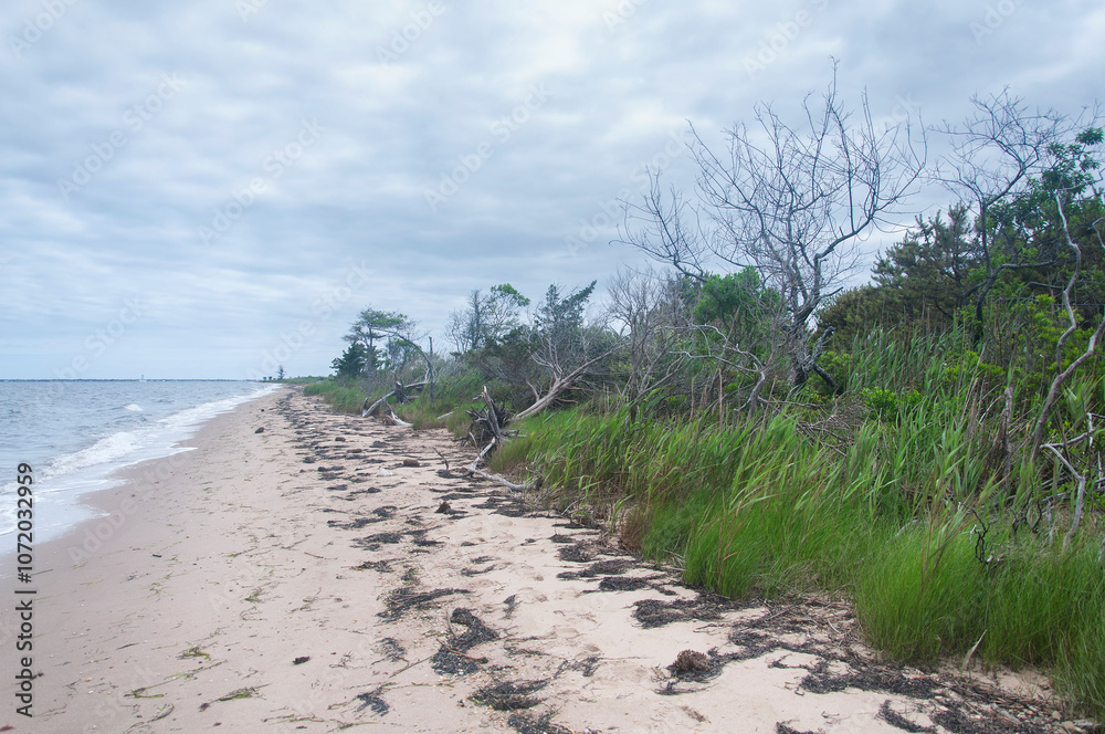 Heckscher State Park beach long island new york Heckscher State Park beach long island new york