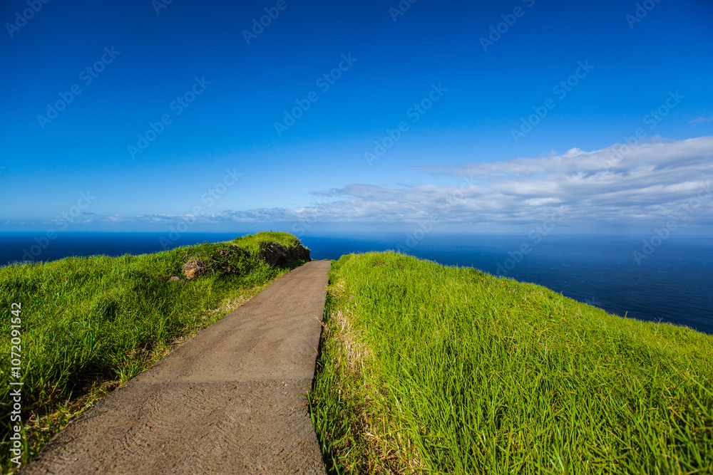 Obraz premium Coastline of Madeira island , Portugal