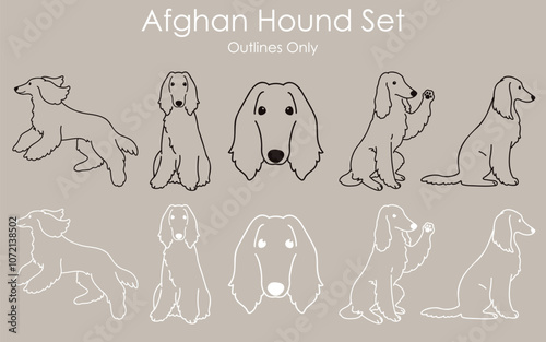 Simple and adorable minimalistic Afghan Hound outlines illustration set photo