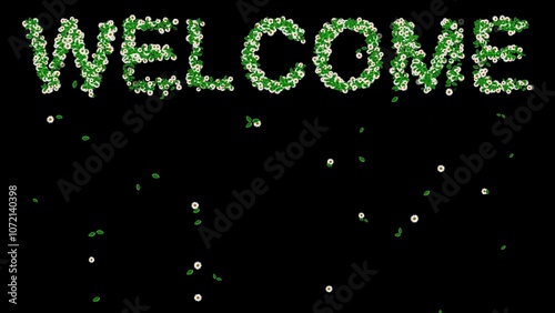Beautiful illustration of Welcome text with green leaves and white daisy flowers on plain black background
