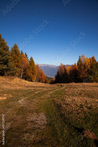 autumn in the mountains