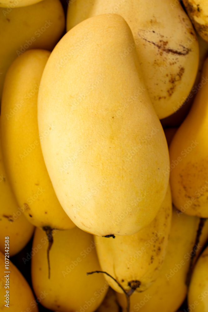 Sweet Thai Nam Dok Mai Mango Sweet Thai Nam Dok Mai Mango