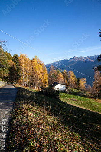 autumn landscape in the mountains