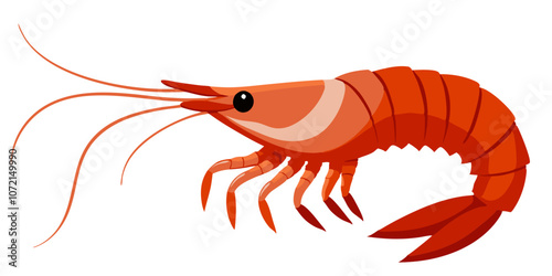 shrimp on a white background, shrimp vector art