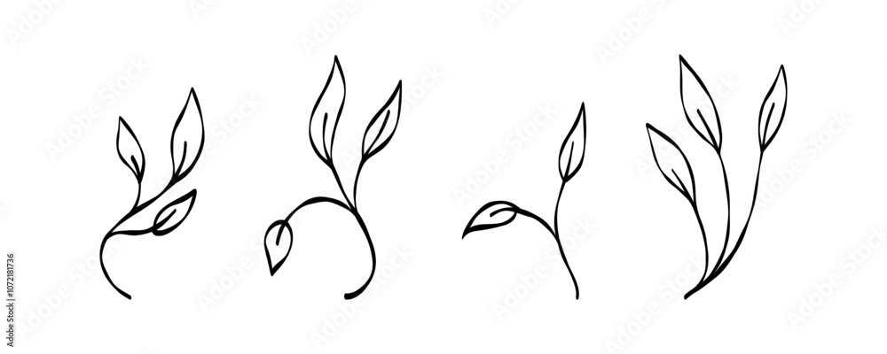 Fototapeta premium hand drawn botanical illustrations of various leaves