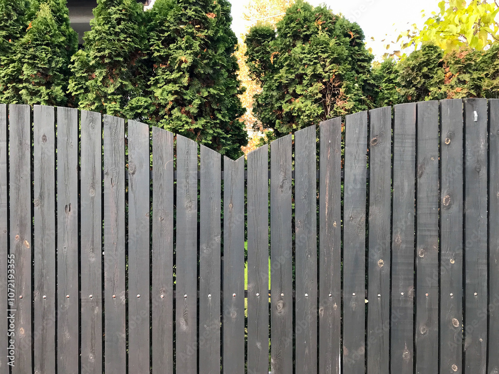 wooden fence with green trees background
wooden fence with green trees background