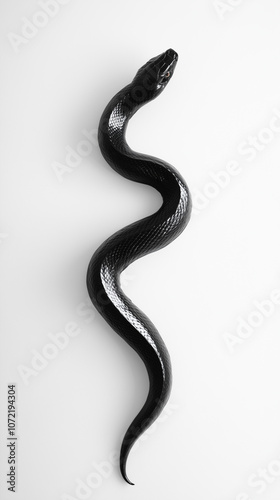 A black snake on a white background