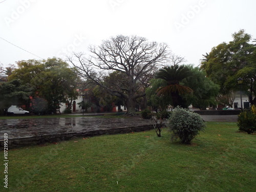 argentina, uruguai, buenos aires, tigre, montevideu, colonia del sacramento, punta del este, cidade antiga, cidade, pedra, carro, carro antigo, bandeira, historia, historico, pais, america do sul, pre