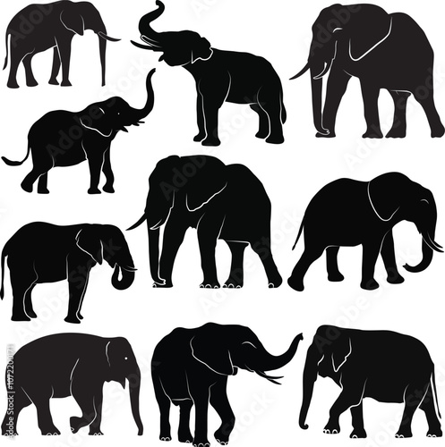 Photography Set of black elephants in different poses, Elephant silhouette collection, eps,