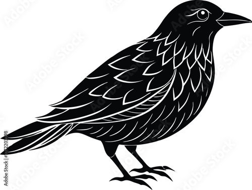 black bird silhouette,animal silhouette vector illustration 