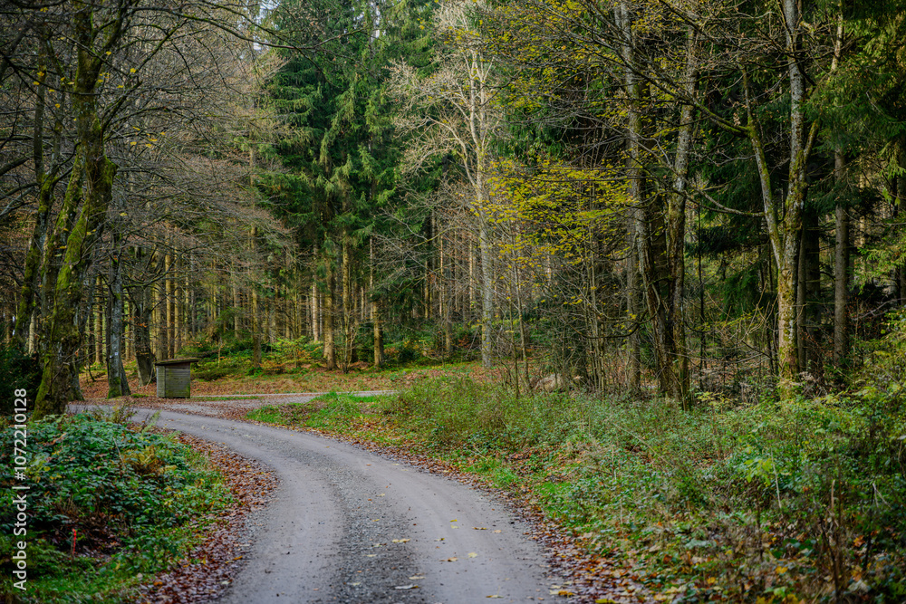 Obraz premium Herbst im Bayerischen Wald