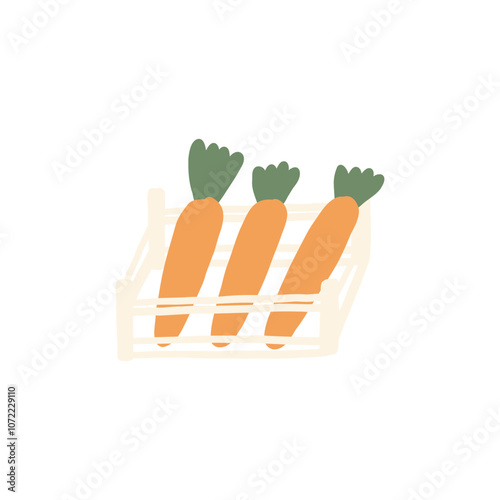 Wooden container with carrot vegetables isolated on white background. Vector illustration in naive hand drawn style