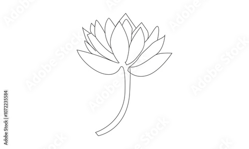 Water lily vector continuous one line drawing on white background minimalist. Premium vector