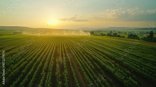 Carbon capture technology for agriculture, reducing emissions in rural areas, eco-conscious innovation