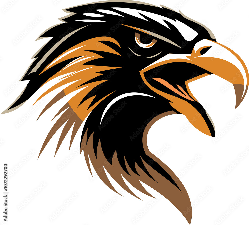 Obraz premium Another Hawk