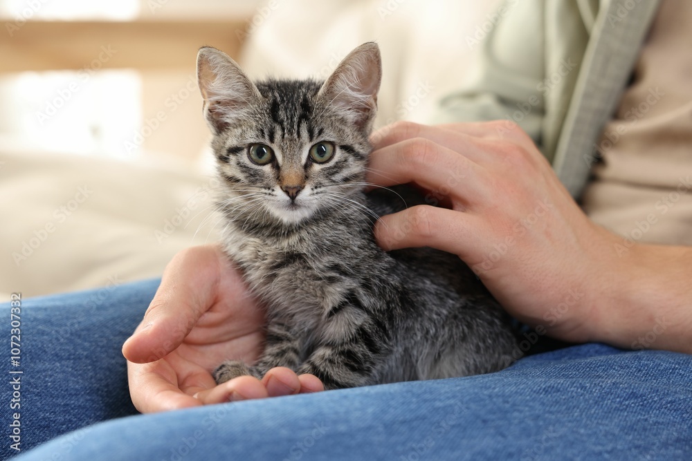 Man with cute kitten at home, closeup Man with cute kitten at home, closeup