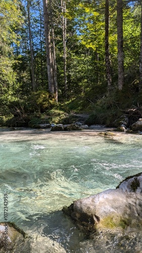 Zauberwald Hintersee Berchtesgaden