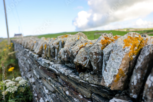 Orkney, Scotland - August 6, 2024: Stone walls on the island of Orkney in Scotland
 photo