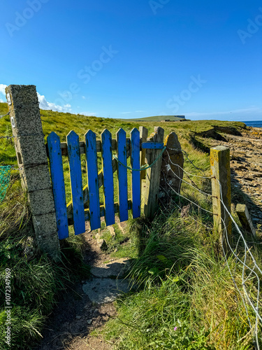 Orkney, Scotland - August 6, 2024: A blue gate at the end of a pathway leading to the water on the island of Orkney in Scotland
 photo