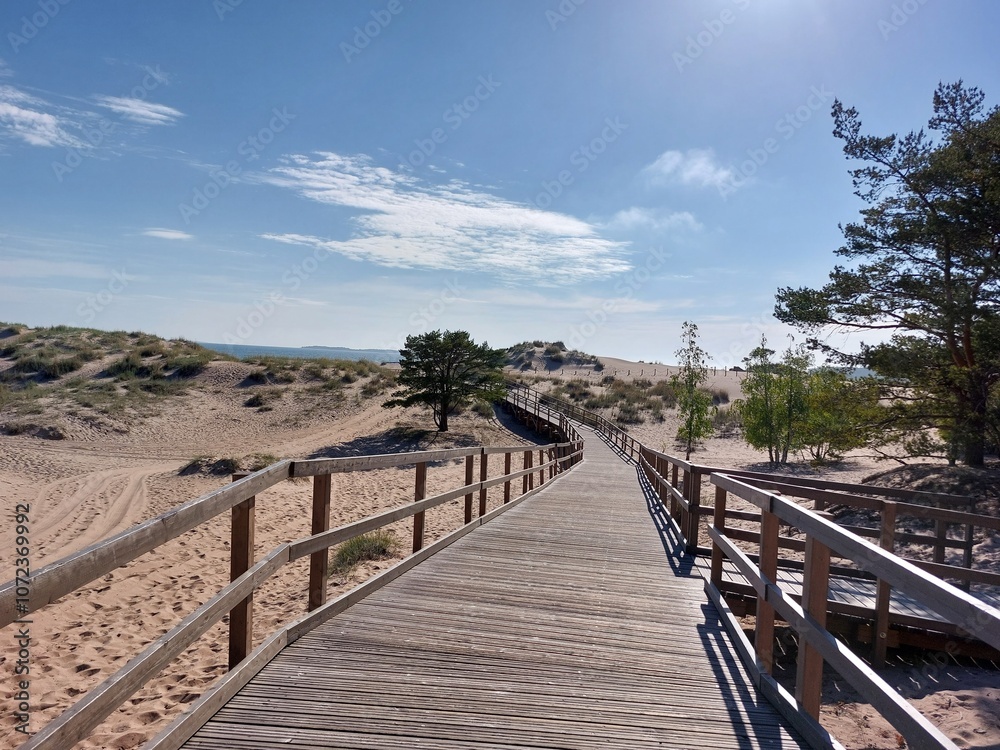 Obraz premium path to the beach