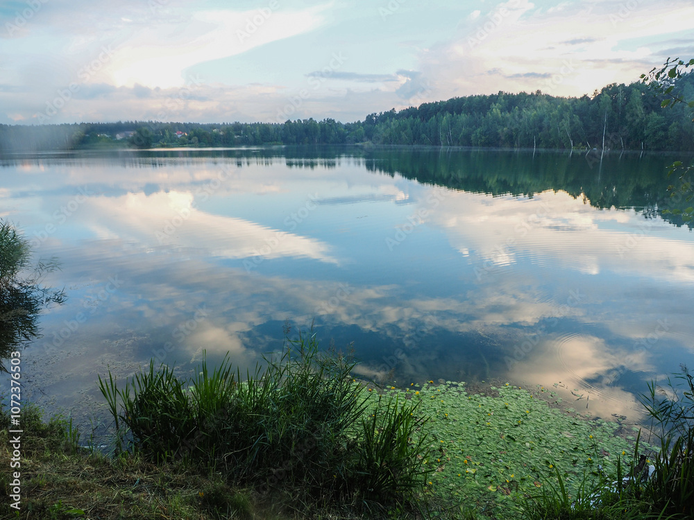 Landscape with lake and forest in the evening. Beautiful nature.