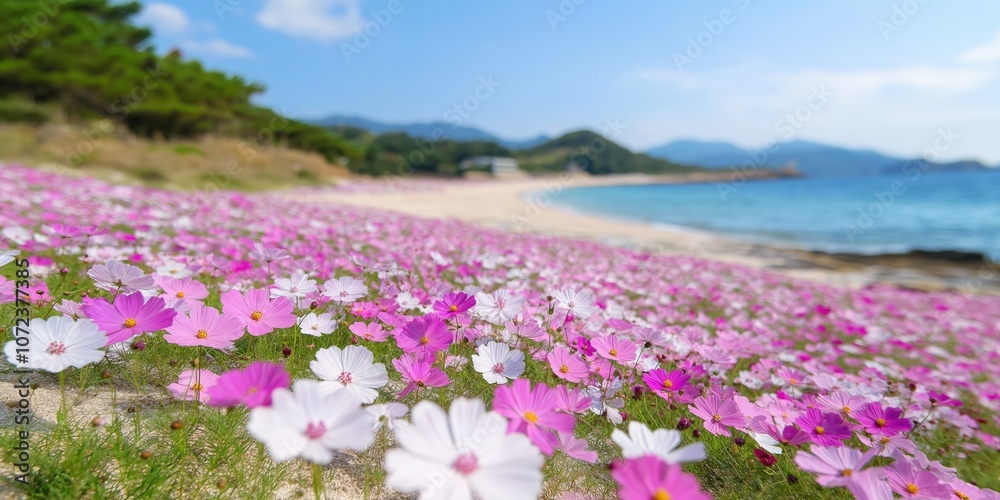 A beautiful field of pink and white flowers with a blue sky in the background. The flowers are scattered throughout the field, creating a peaceful and serene atmosphere A beautiful field of pink and white flowers with a blue sky in the background. The flowers are scattered throughout the field, creating a peaceful and serene atmosphere