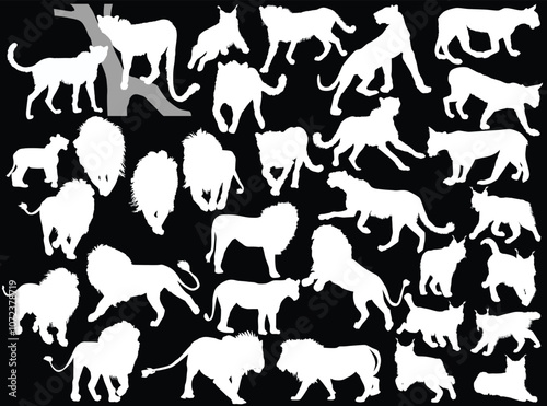 large set of predator animals isolated on black