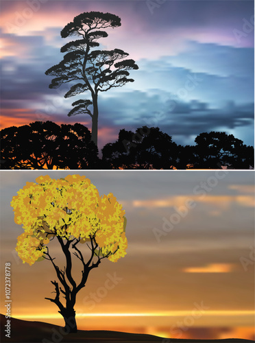 high trees in two sunset landscapes
