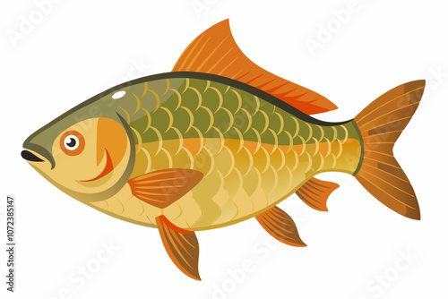 Crucian carp fish isolated vector art illustration