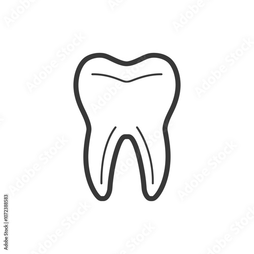 Line drawing of a single tooth