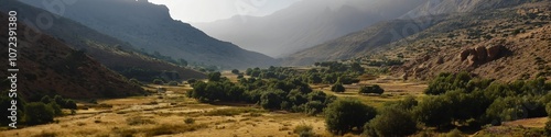 A mountain valley with a forest in the foreground. The sky is cloudy and the sun is shining