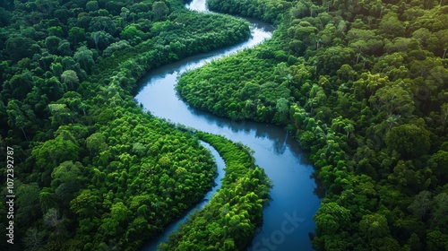 Aerial View of a Meandering River Through Lush Forest Representing Life's Journey