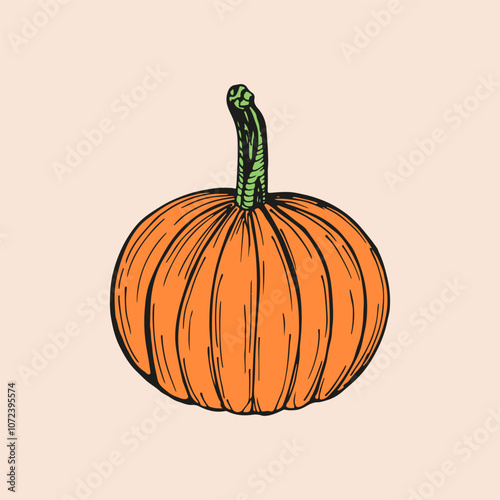 Pumpkin sketch outline illustration. Simple doodle drawing in engraving style. Hand drawn vector line art clipart isolated on beige background