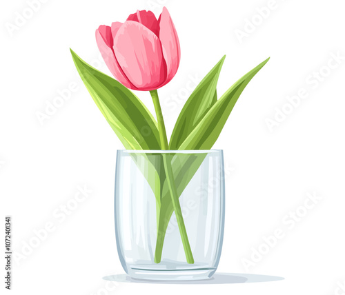 Pink flower is in a clear glass vase. The stem is green. Flat vector illustration isolated.