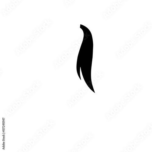 Horse tail silhouette 