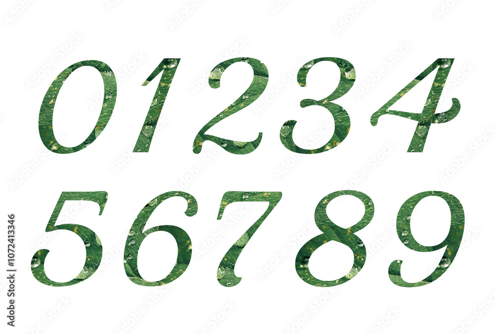 Collection of numbers 0-9. With green leaves with water droplets fulfill its character. Zero to nine numbers. Collection of numbers 0-9. With green leaves with water droplets fulfill its character. Zero to nine numbers.
