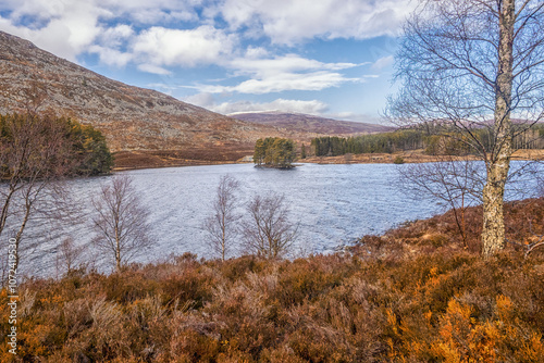 Creag Bheah between Netonmore and Kingussie