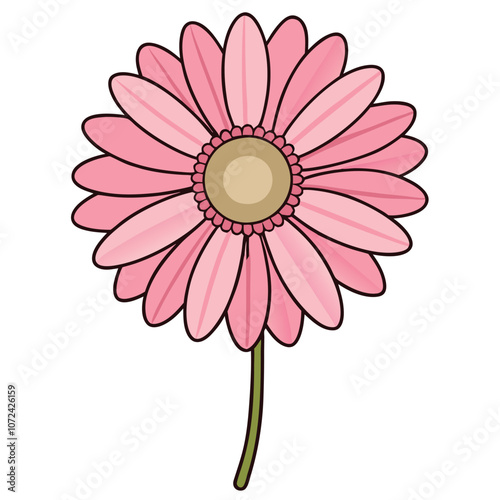 Design icons vector illustration of a flower (chamomile, gerbera, aster).