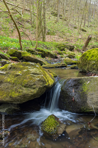 Typical landscape near Burg Kaja and Merkersdorf, National park Thayatal , Lower Austria, Austria