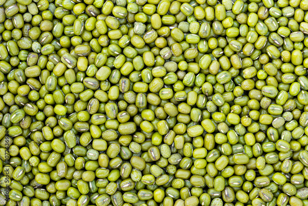 Raw seeds of Vigna radiata, Mung beans Raw seeds of Vigna radiata, Mung beans