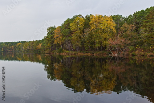 Картината върху платно Fall colored trees along the shore of a reservoir pond cast a beautiful reflection off the calm, still water