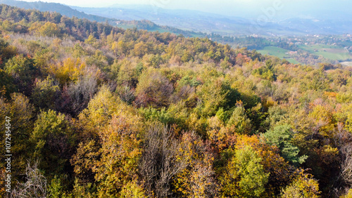 Vista aerea dei coloratissimi boschi e prati dell'Appennino modenese durante una soleggiata giornata d'autunno