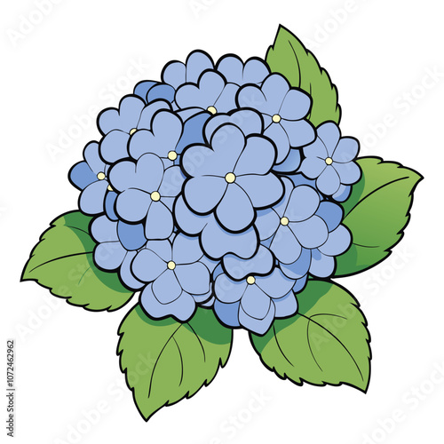 Hydrangea flower graphic color isolated sketch illustration vector