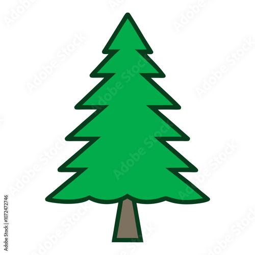 Swiss Pine Color Vector Illustration.