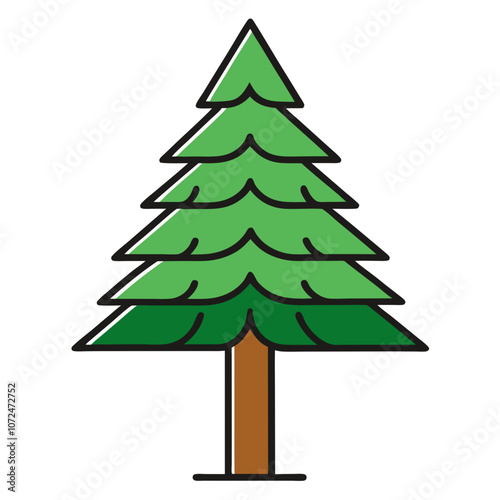 Swiss Pine Color Vector Illustration.