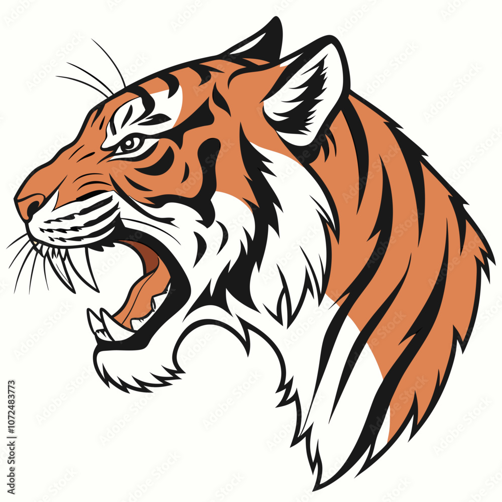 Fototapeta premium tiger head isolated