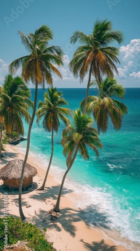 Tropical beach with palm trees.